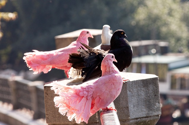 年中国U 年中国U