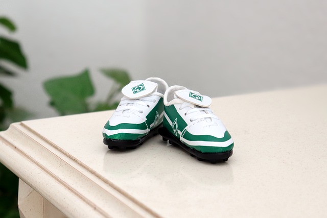 本赛季经历 本赛季经历